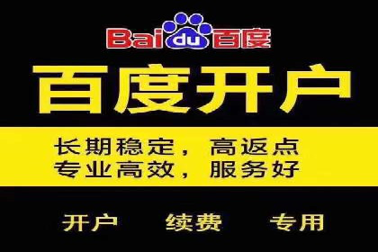 百度推广返点策略：案例解析与优化